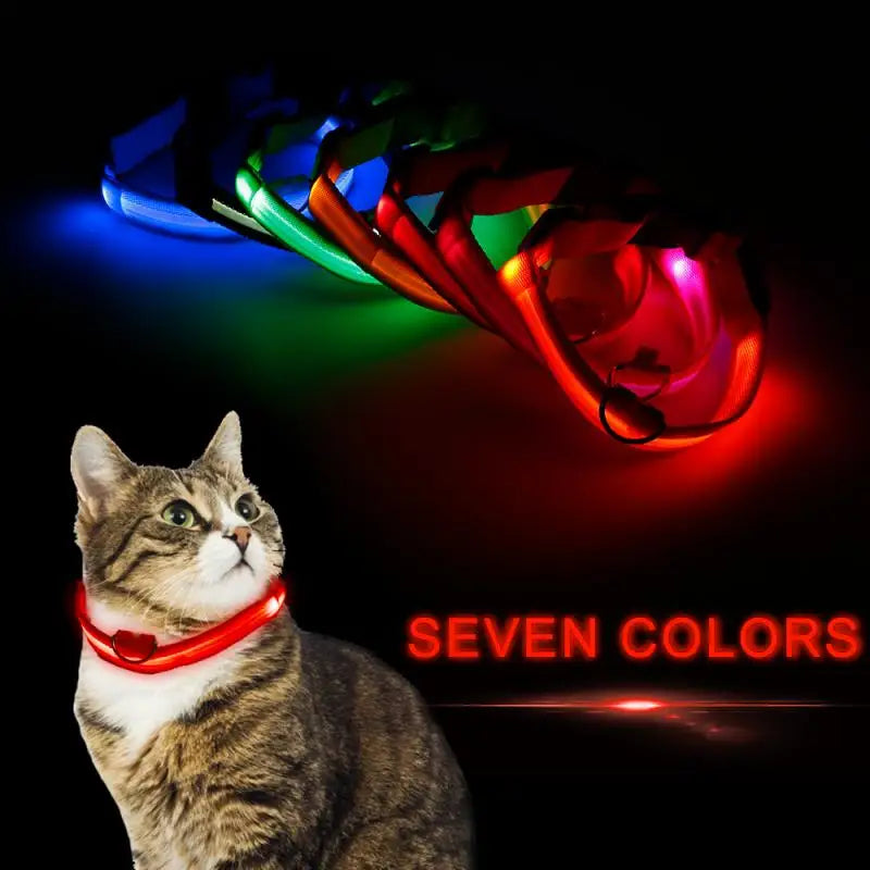 Glow-in-the-Dark LED Pet Collar