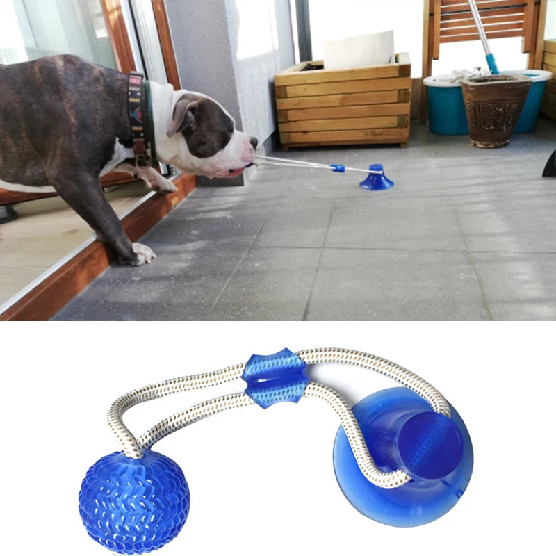 Interactive Suction Cup Dog Toys