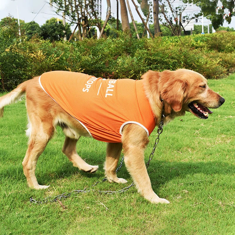 Pet Clothes for Small and Large Dogs (S-6XL)