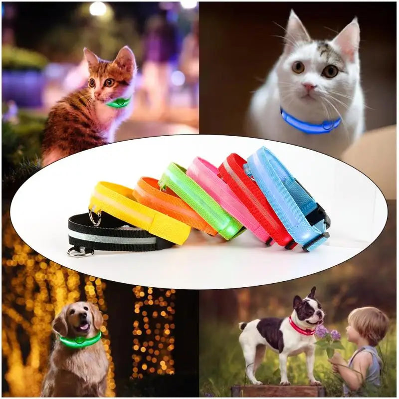 Glow-in-the-Dark LED Pet Collar