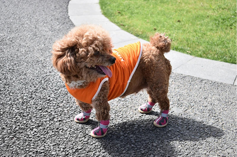 Pet Clothes for Small and Large Dogs (S-6XL)