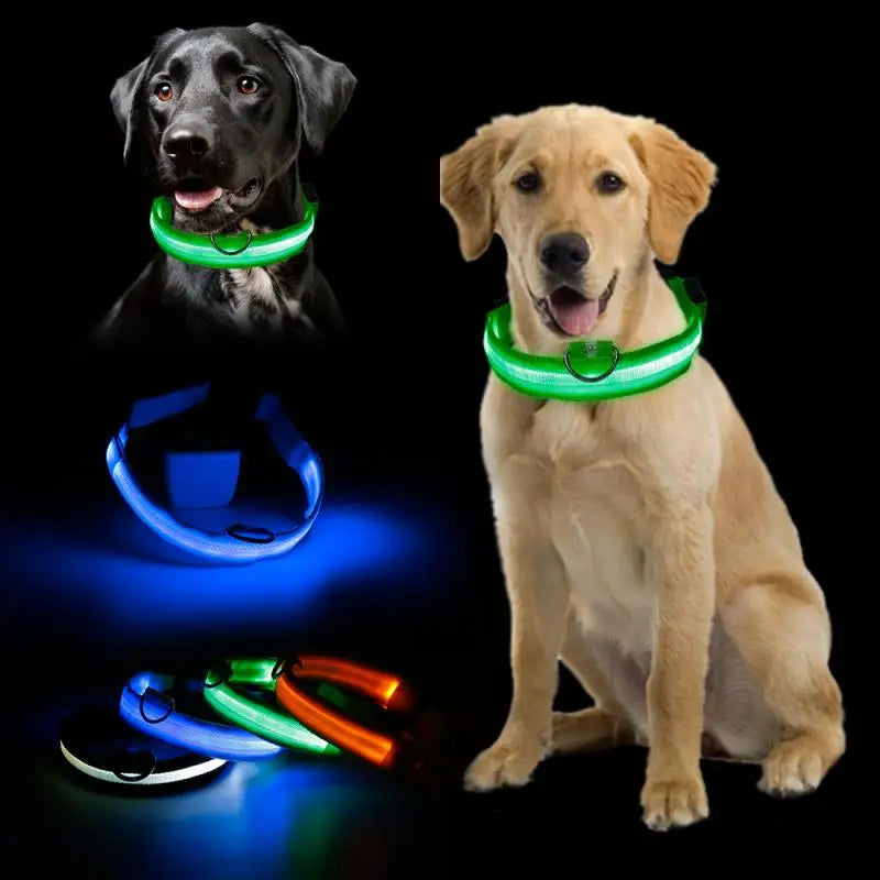 Glow-in-the-Dark LED Pet Collar