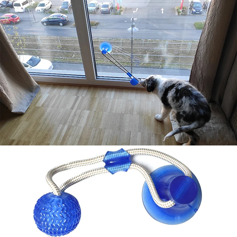 Interactive Suction Cup Dog Toys