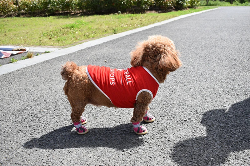 Pet Clothes for Small and Large Dogs (S-6XL)