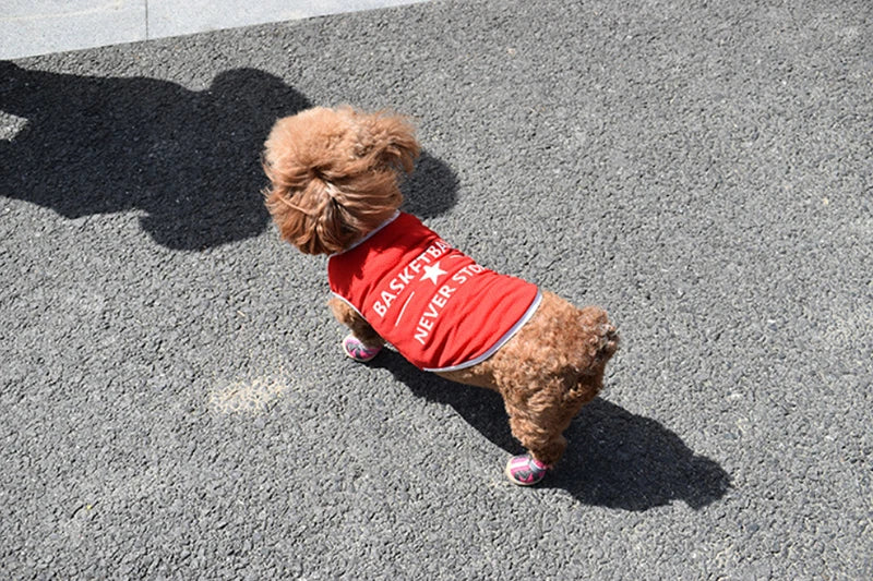 Pet Clothes for Small and Large Dogs (S-6XL)