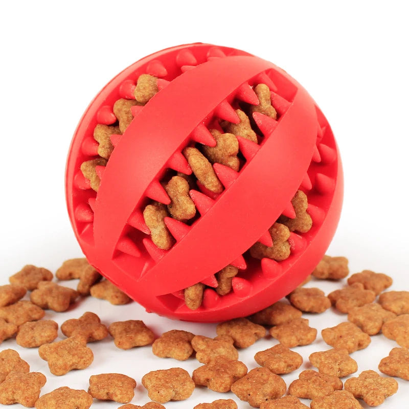 Interactive Suction Cup Dog Toys