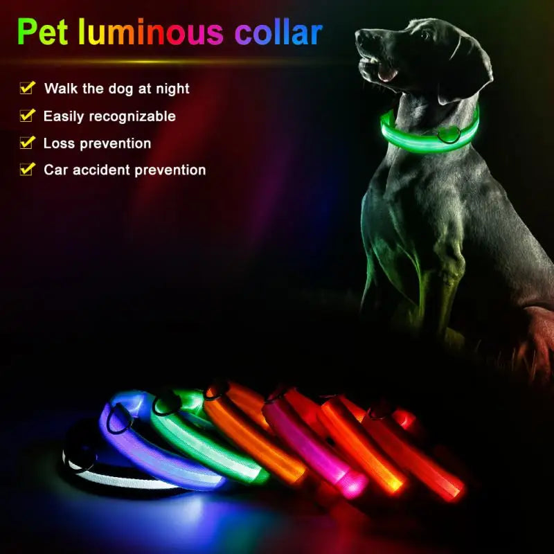 Glow-in-the-Dark LED Pet Collar