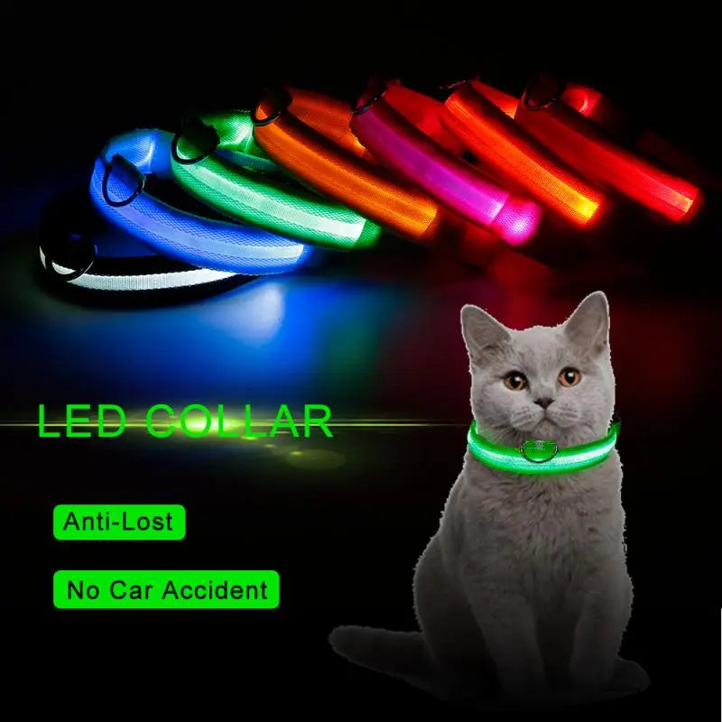 Glow-in-the-Dark LED Pet Collar