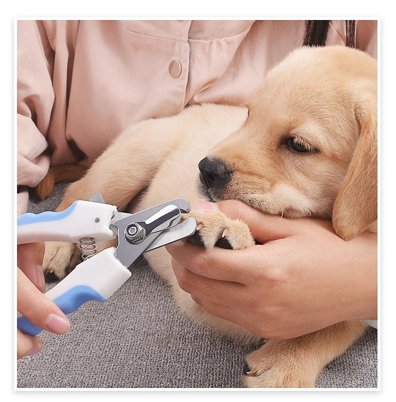 Pet Nail Clipper Scissors