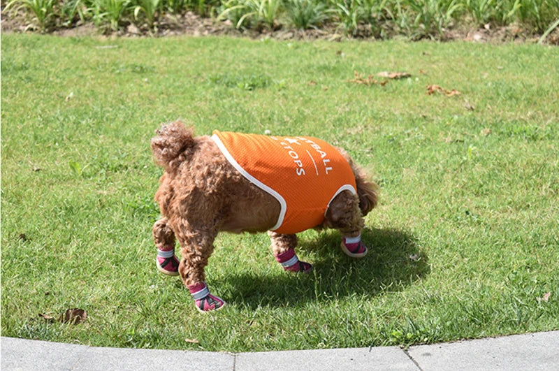 Pet Clothes for Small and Large Dogs (S-6XL)