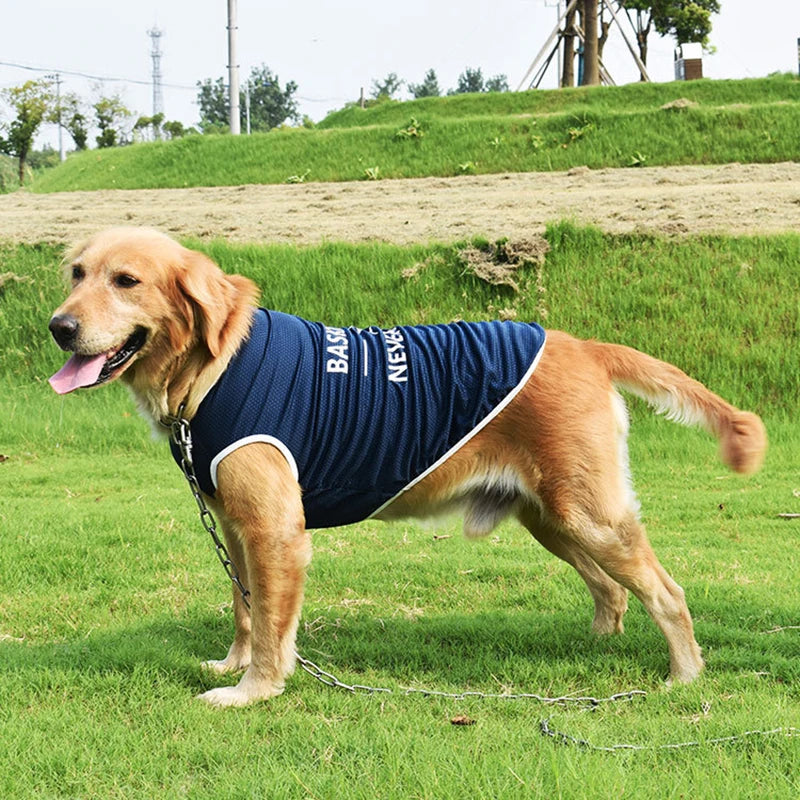 Pet Clothes for Small and Large Dogs (S-6XL)