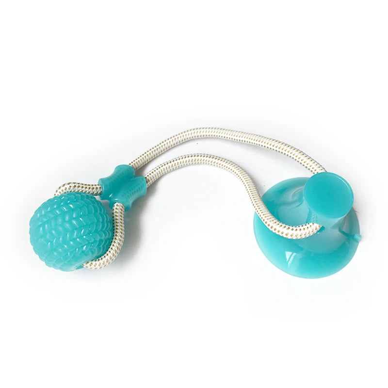 Interactive Suction Cup Dog Toys