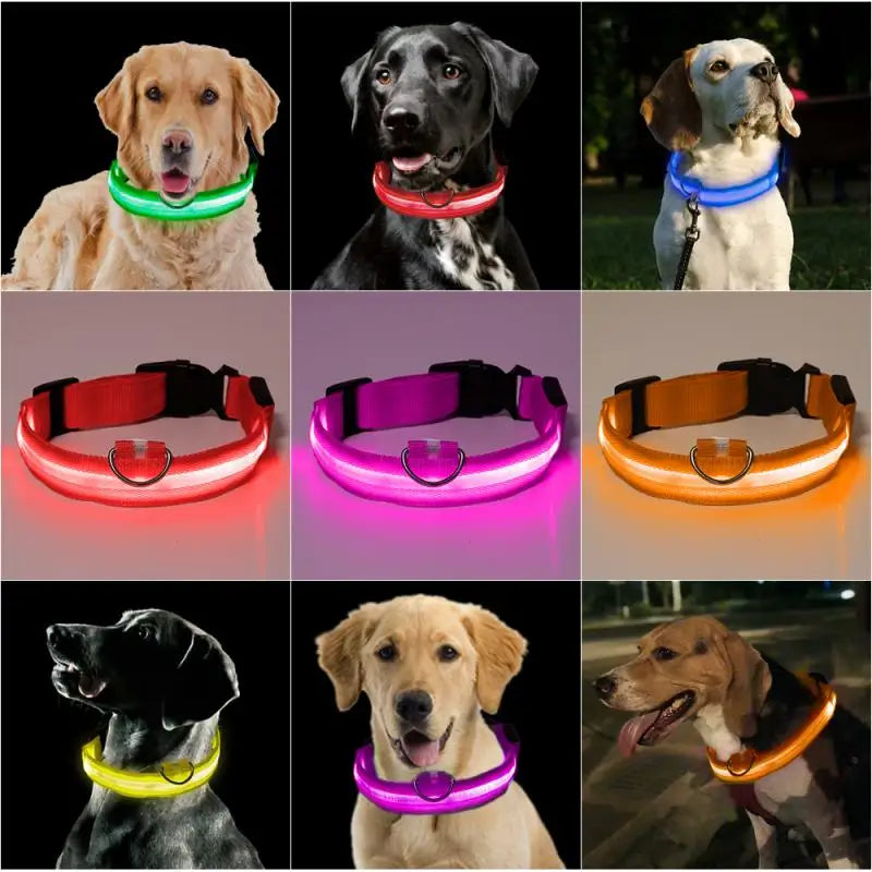 Glow-in-the-Dark LED Pet Collar