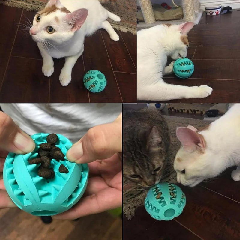 Interactive Suction Cup Dog Toys