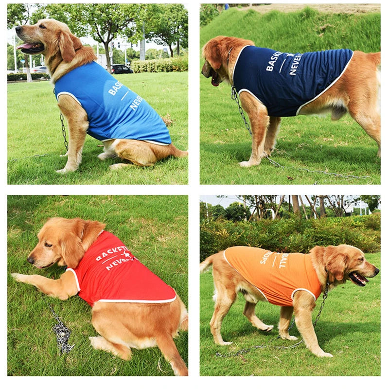 Pet Clothes for Small and Large Dogs (S-6XL)