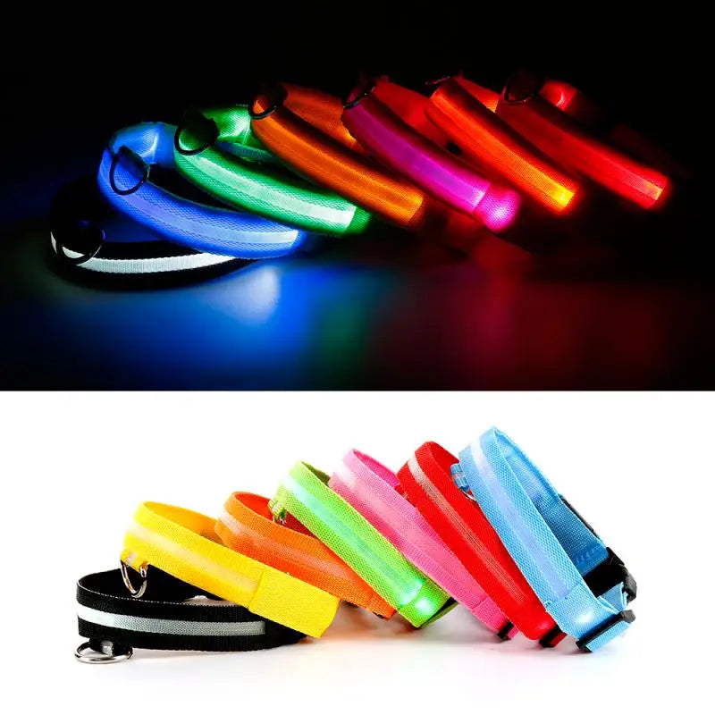 Glow-in-the-Dark LED Pet Collar