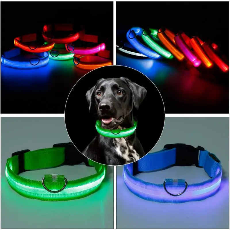 Glow-in-the-Dark LED Pet Collar