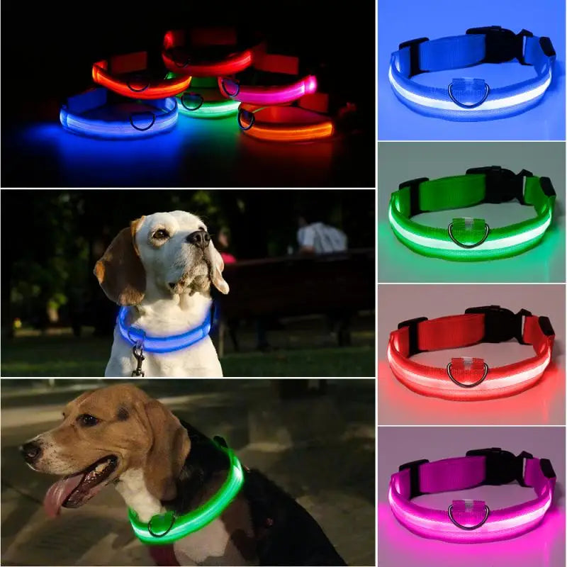 Glow-in-the-Dark LED Pet Collar