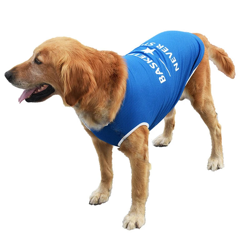 Pet Clothes for Small and Large Dogs (S-6XL)