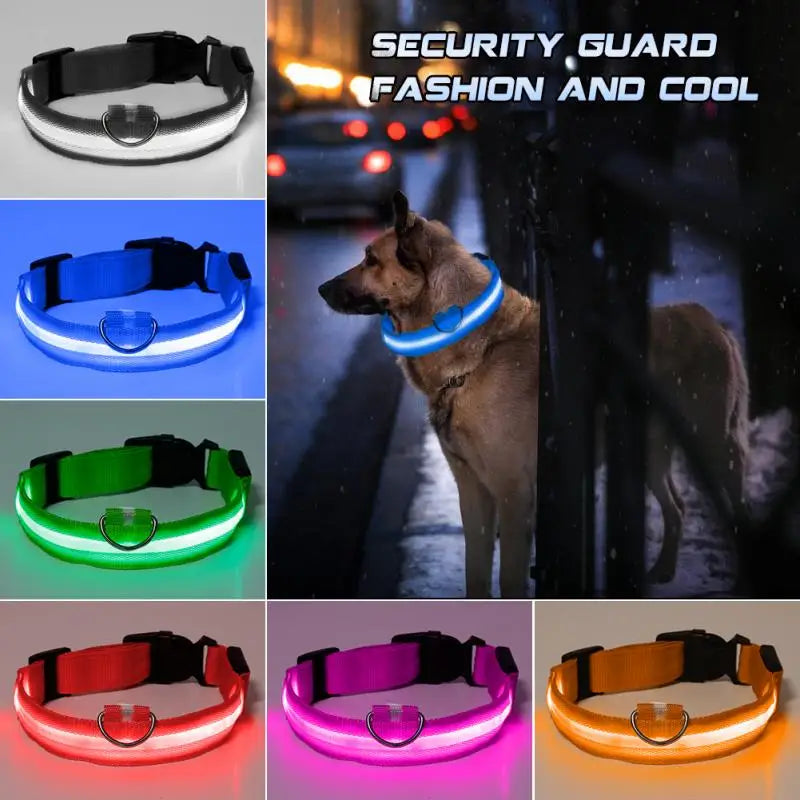 Glow-in-the-Dark LED Pet Collar