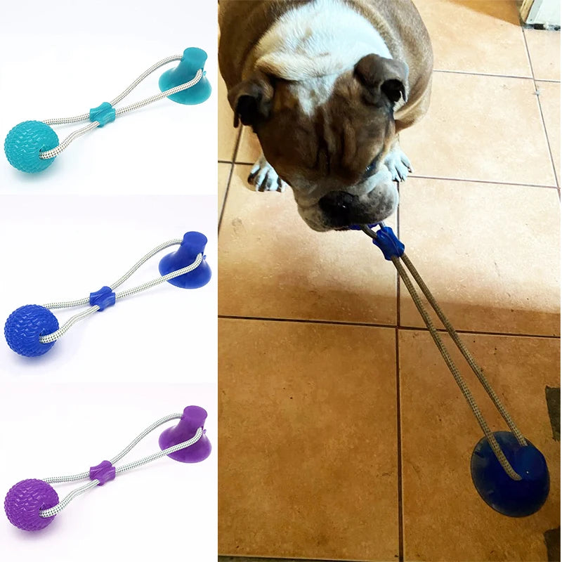 Interactive Suction Cup Dog Toys