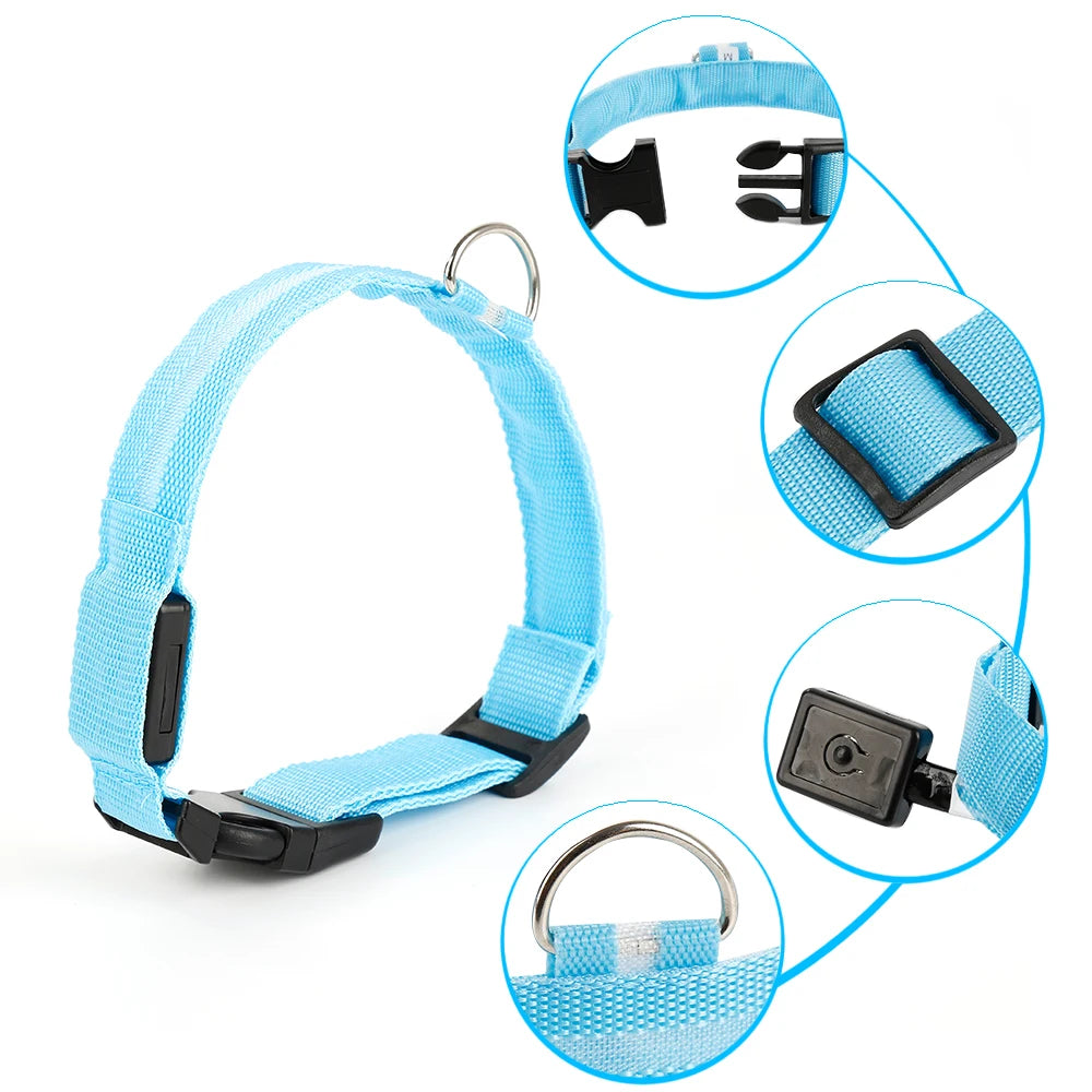 Glow-in-the-Dark LED Pet Collar